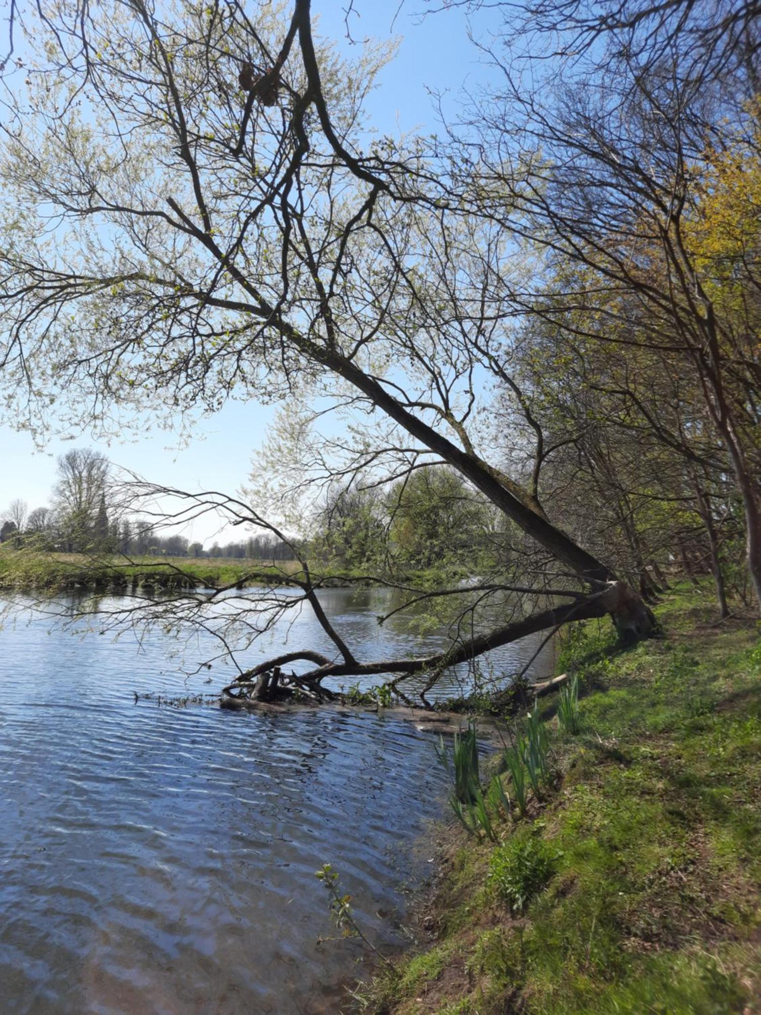 Ferienhaus Am See Goch Kessel Szoba fotó